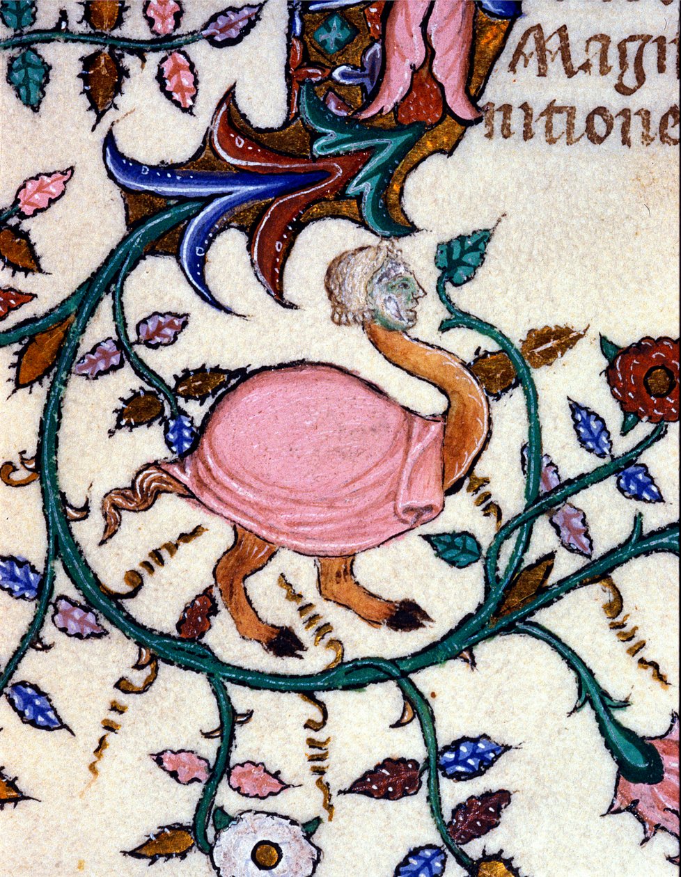 Representación de un monstruo con cuerpo de avestruz y cabeza humana. Miniatura de un manuscrito del siglo XIV. Milán, Biblioteca Nazionale Braidense. de Unknown artist