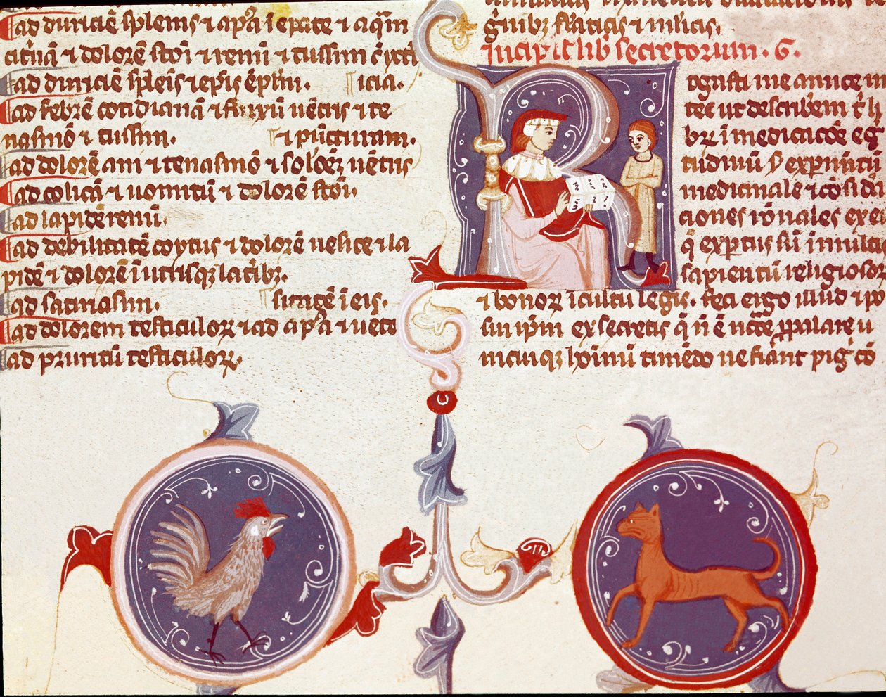 Representación de un gallo y un gato, en la parte superior dos personajes, probablemente el traductor presentando su trabajo al doctor. (miniatura) de Unknown artist