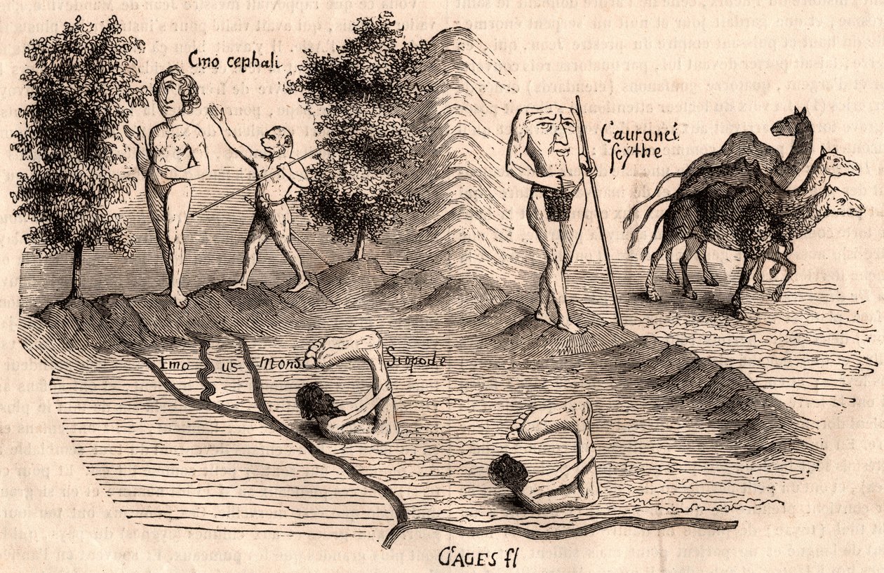 Representación de tribus medievales y especies animales: Monocules, Blemmys, Sciopodes y camellos de Unknown artist