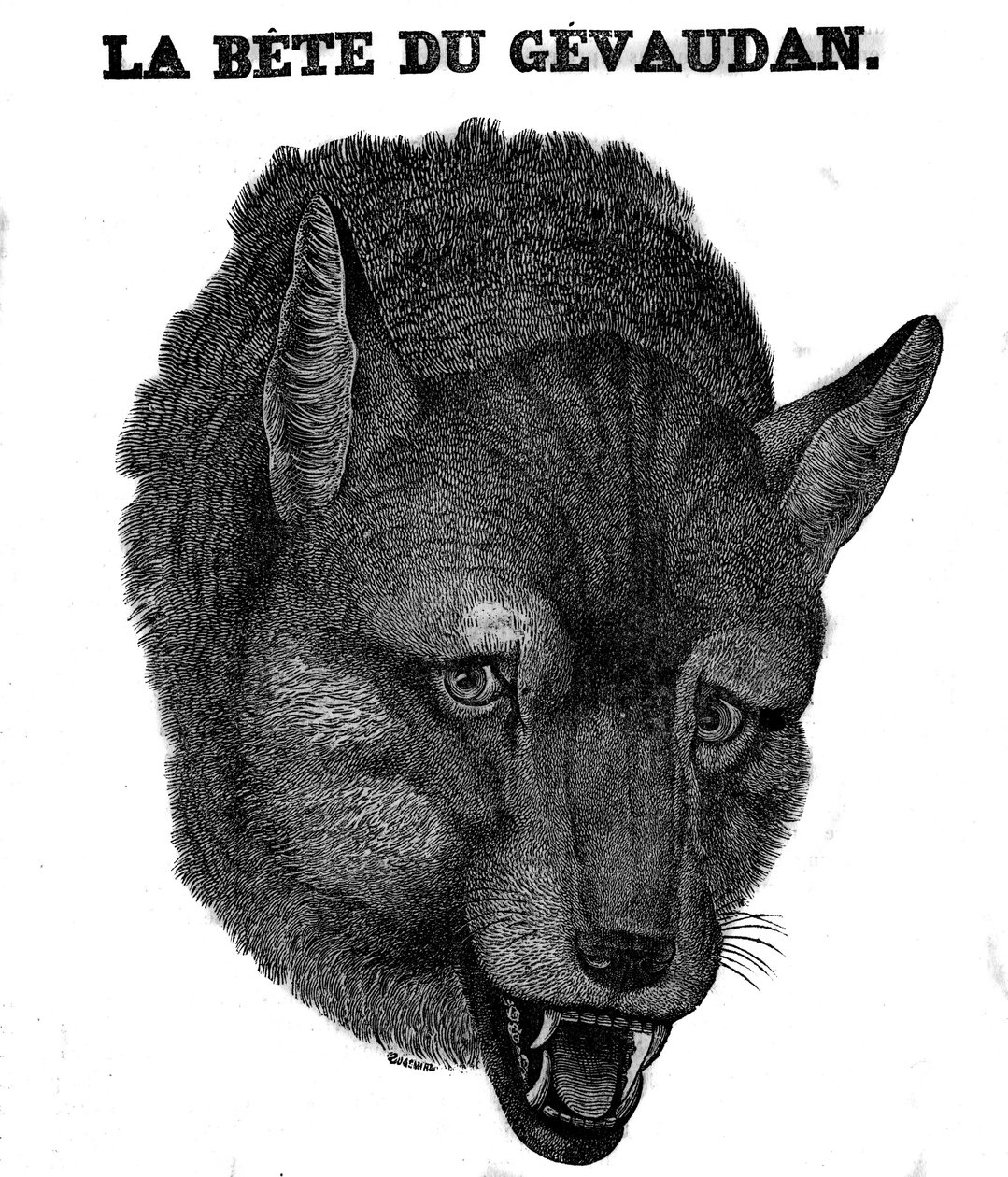 Representación de la Bestia de Gévaudan de Unknown artist