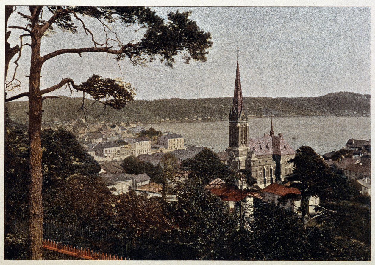 Río de Janeiro, vista del Morro de Gloria, finales del siglo XIX de Unknown artist