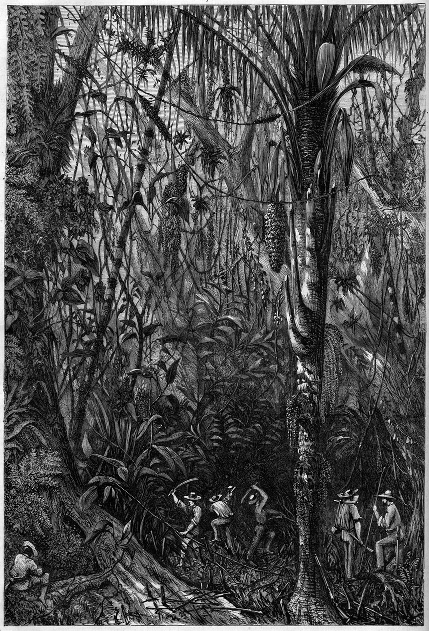 Desarrollo vial en Centroamérica: La perforación de la carretera nicaragüense a través de un bosque virgen (deforestación). Dibujo del teniente Olivier, miembro de la expedición del capitán Bedford Pim (1826-1886). Grabado en "The Illustrious Universe" de Unknown artist