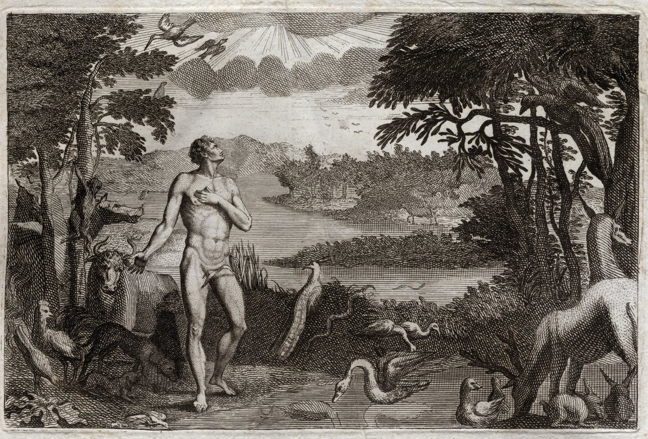 Biblia de Royaumont, Antiguo Testamento: Creación del Hombre y la Mujer. Dios que creó al hombre, lo pone en el Paraíso terrenal, y le prohíbe comer del fruto del árbol del conocimiento del bien y del mal. Ilustración de 1811. de Unknown artist