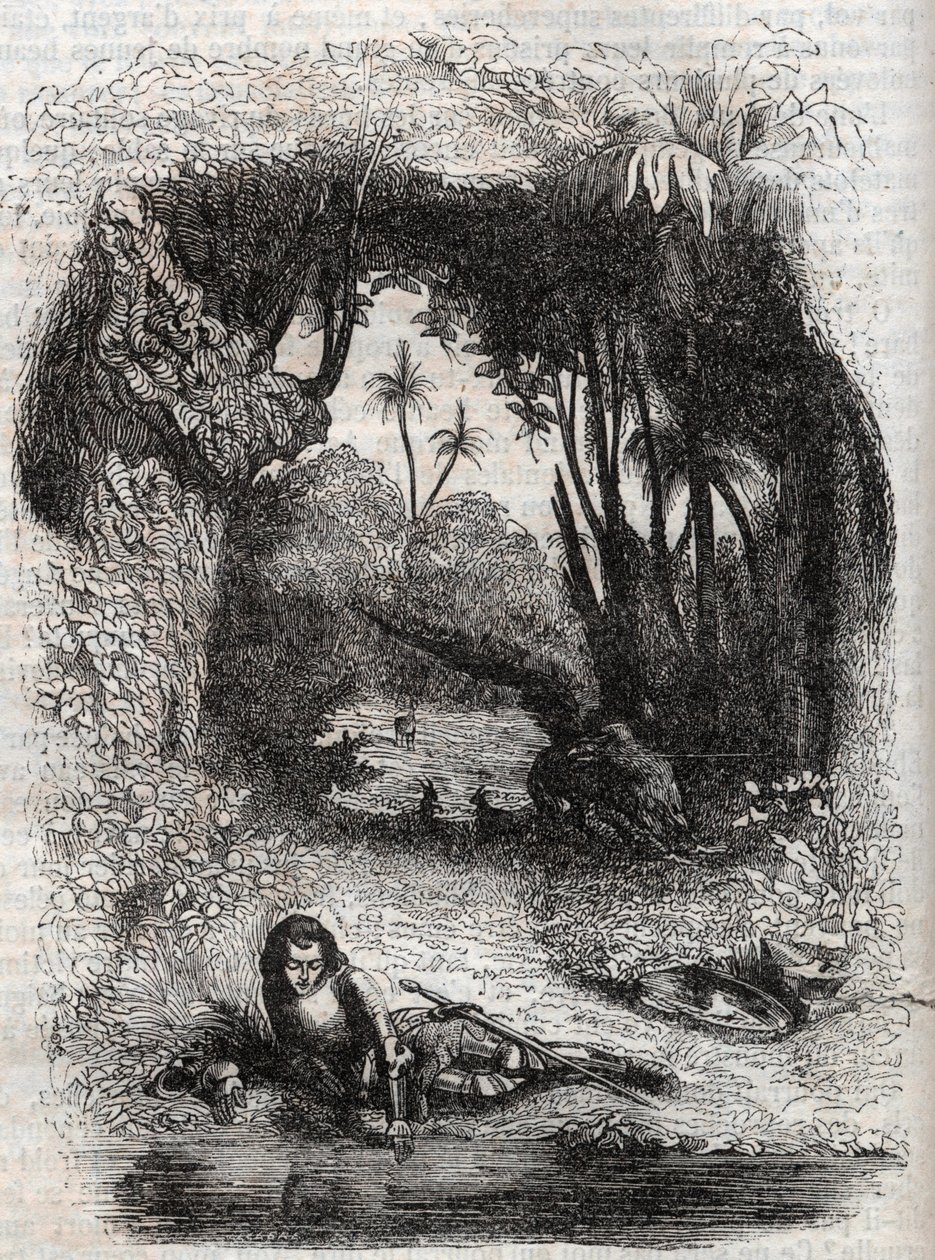 Ruggiero en la isla de Alcina - grabado de 1851 del poema Orlando furioso (1516) por Ludovico Ariosto - Edición traducida del italiano por el Conde de Tressan y publicada por Gustave Harvard 1851 de Unknown artist