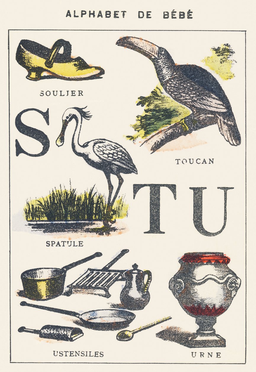 S T U: zapato, espátula, tucán, utensilios, urna de Unknown artist