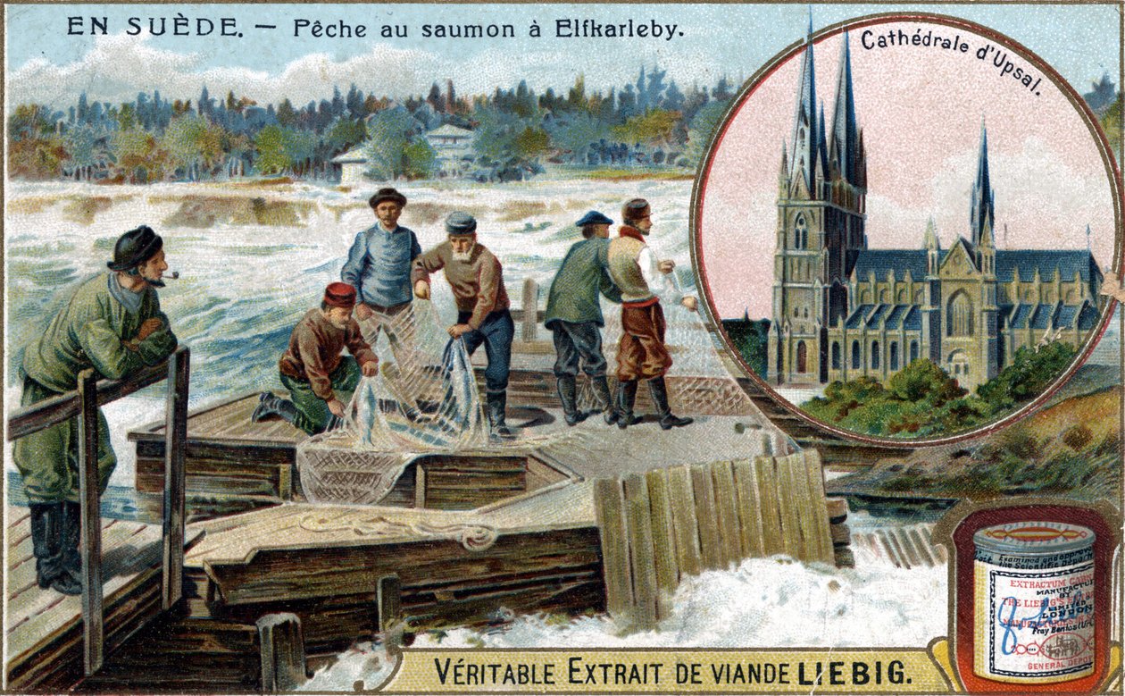Pesca de salmón en Elfkarleby, Suecia de Unknown artist