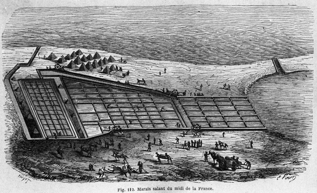 Producción de sal: vista de una salina en el sur de Francia, grabado de 1880 de Unknown artist