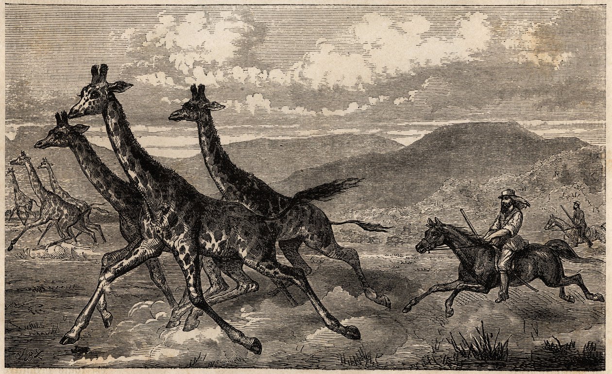 Samuel W. Baker cazando jirafas en África Central en la región del Alto Nilo de Unknown artist