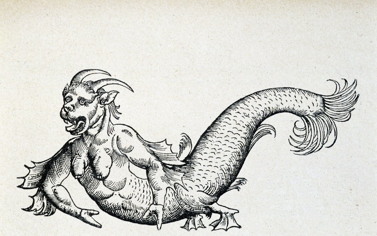 Diablo marino, supuestamente capturado en el Mar Adriático a principios del siglo XV - según Gesner de Unknown artist