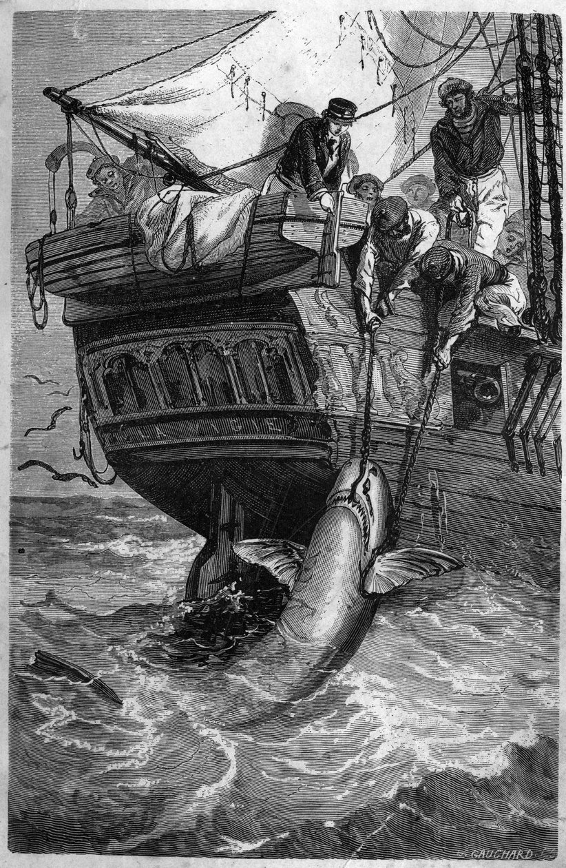 Pesca de tiburones. (Pesca allo squalo) grabado del siglo XIX. Colección privada de Unknown artist