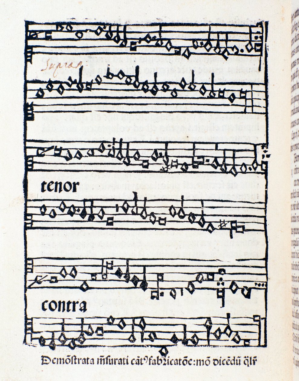 Página de la partitura de Estudios y documentos musicológicos de Nicola Burzio de Unknown artist