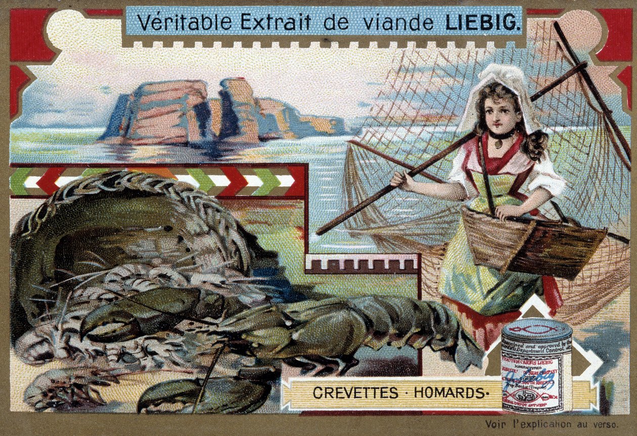 Camarones y langosta, con una joven pescadora, llevando su cesta y una gran red - cromolitografía de Liebig de Unknown artist
