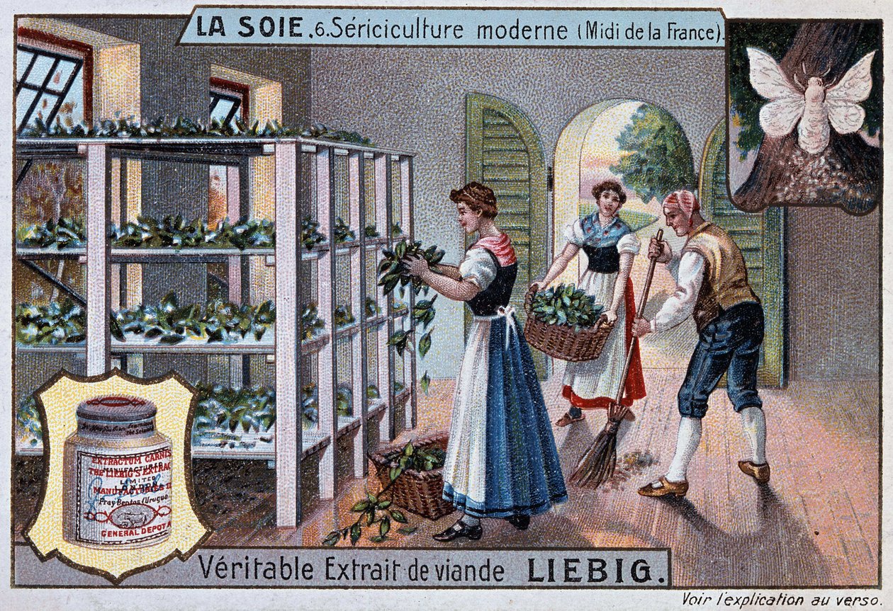 Seda: taller de seda en el sur de Francia, publicidad de Liebig, circa 1895 de Unknown artist