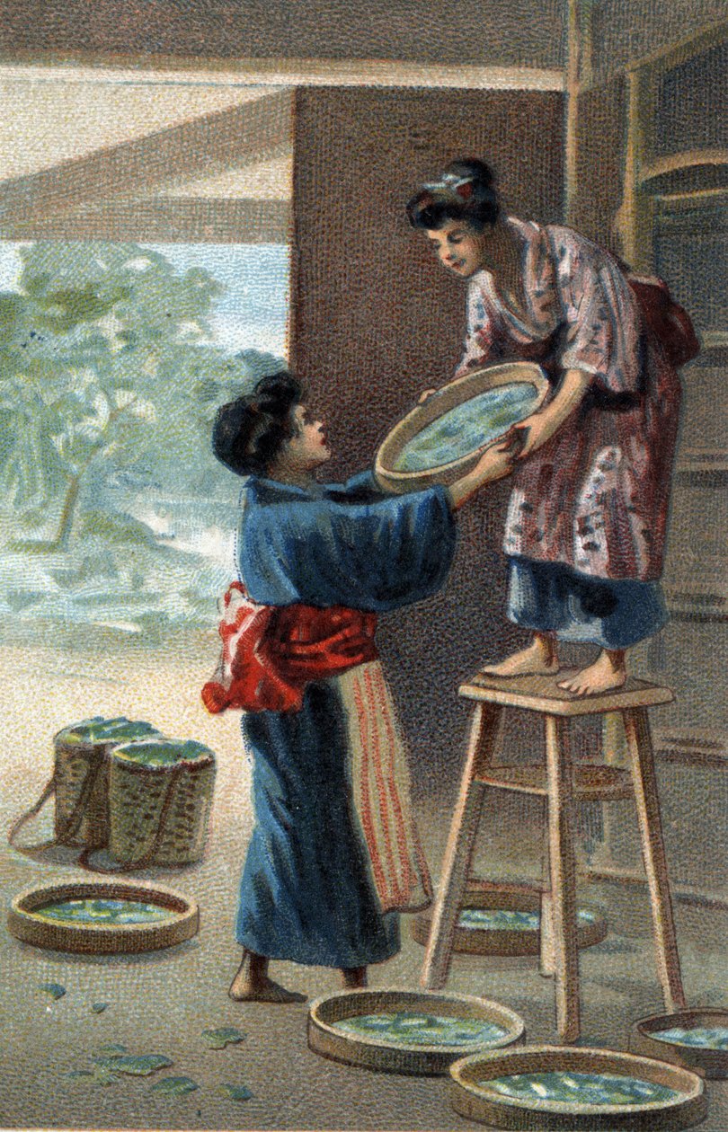 Cría de gusanos de seda en un imán japonés. Cromolitografía de finales del siglo XIX. de Unknown artist