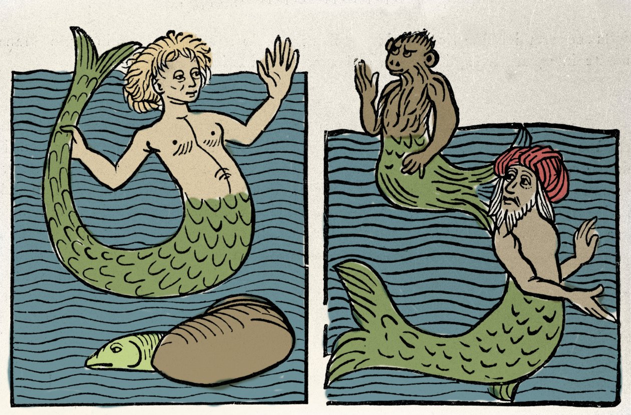 Sirena o Virgen del Mar, Mono y Turco del Mar. Grabado de “Hortus sanitatis” de Unknown artist