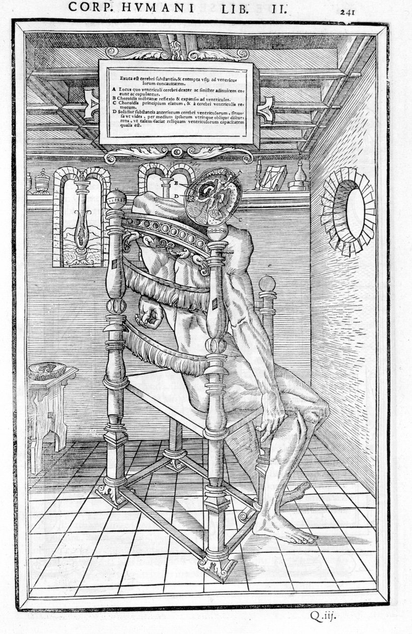Corte de cráneo. Tabla anatómica de “De dissectione partium corporis humani lbri tres...” Carlo Stefano Riverio, París 1545 de Unknown artist