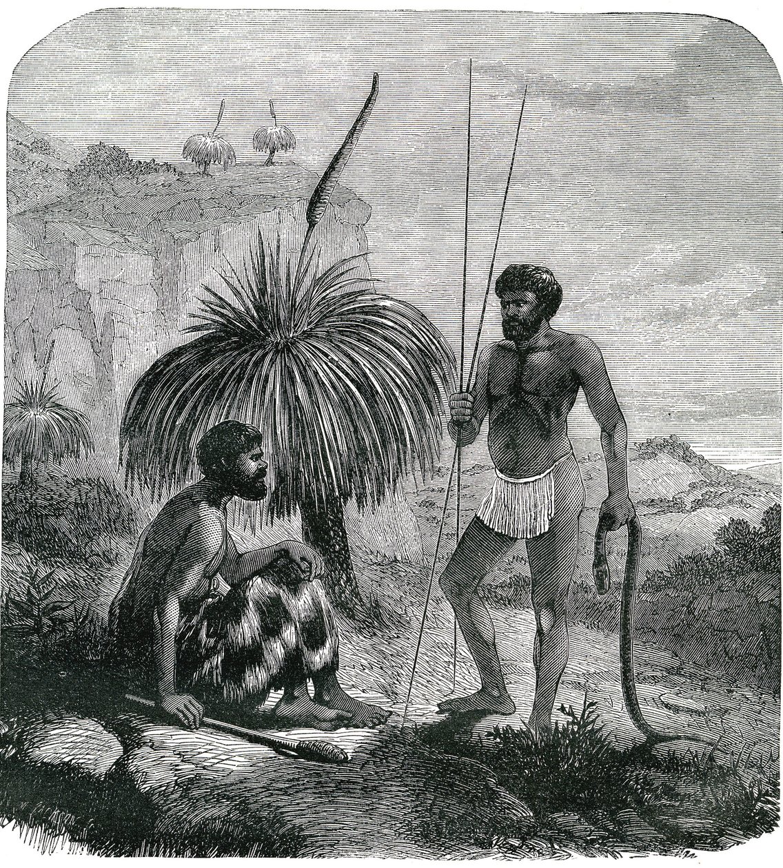 Cazadores de serpientes en Australia. Grabado 1868 de Unknown artist