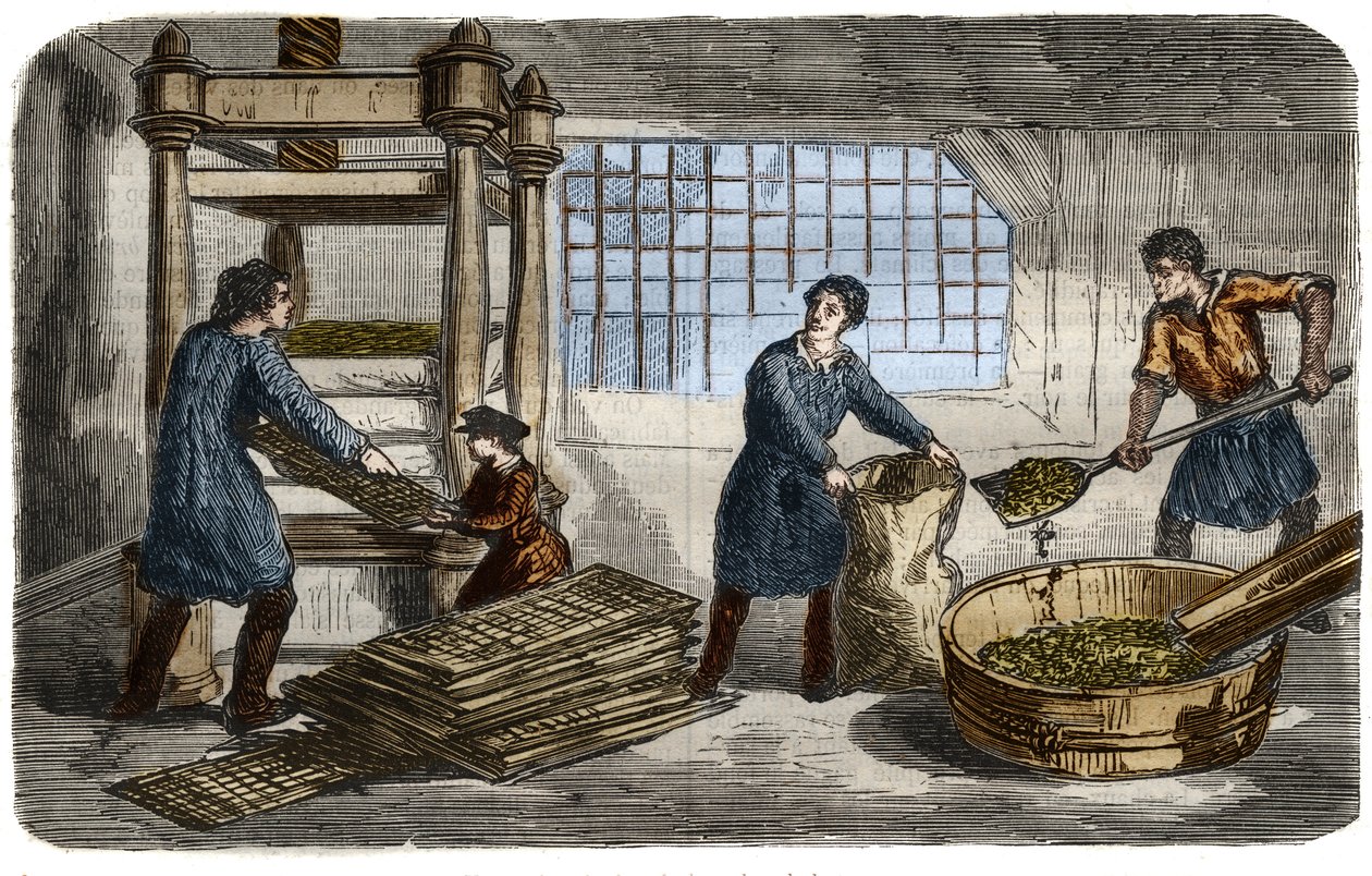 Fabricación de azúcar: extracción de jugo de pulpa de remolacha. La pulpa se mete en bolsas que se apilan bajo la bandeja de una prensa hidráulica. Grabado de 1859 en 