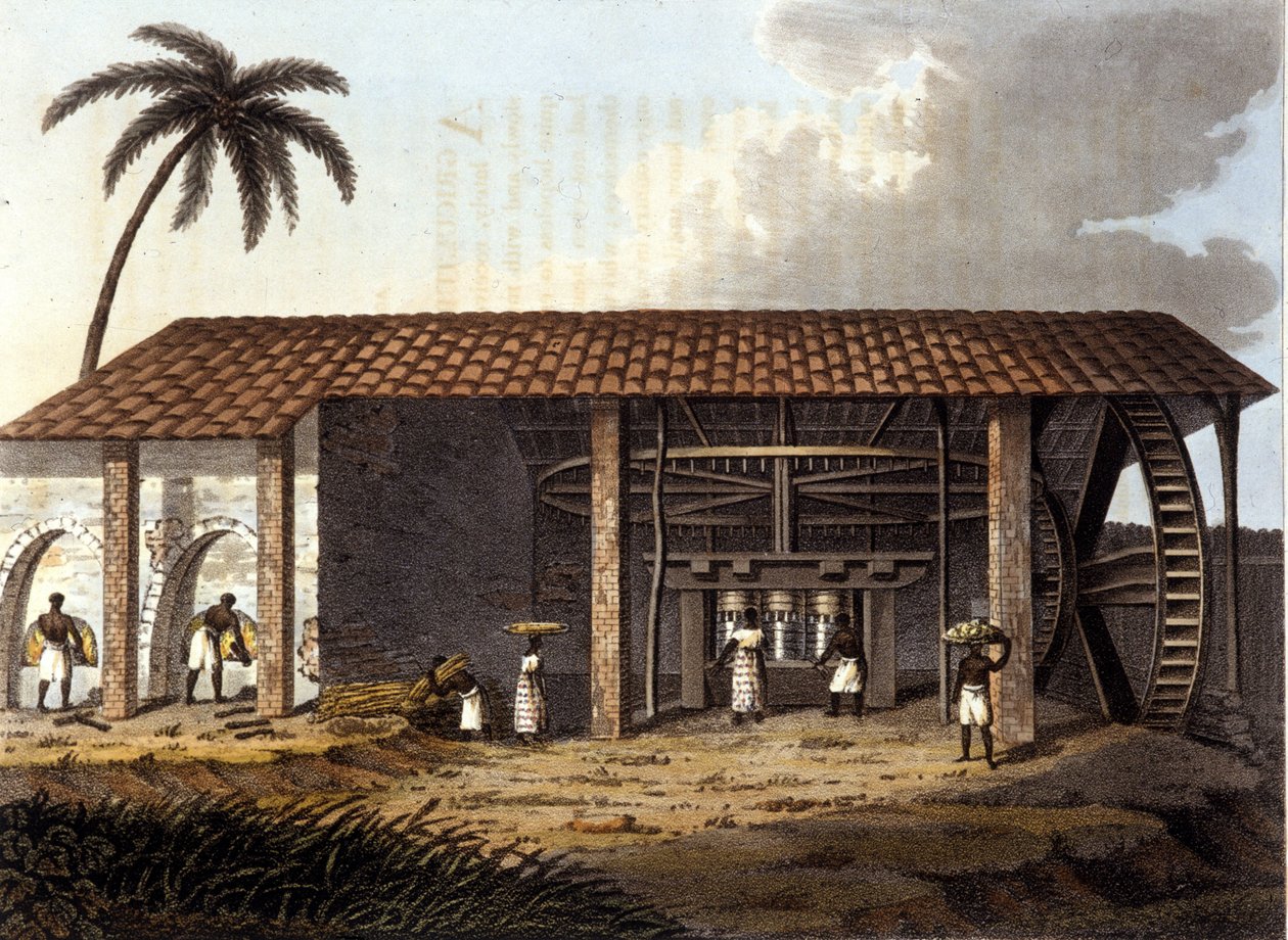 Ingenio azucarero, Antillas de Unknown artist