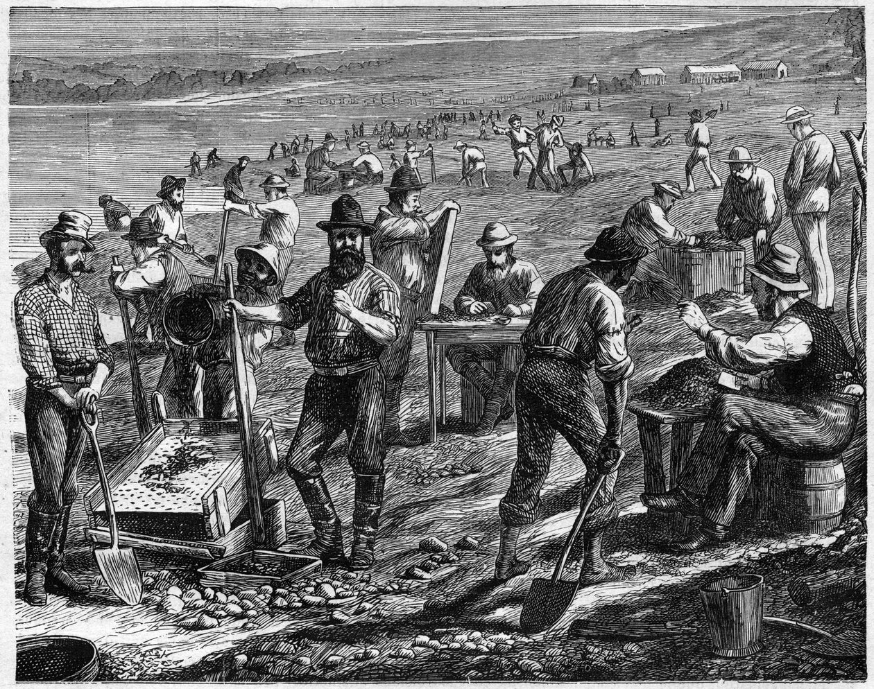 Los Campos de Diamantes en el Cabo - Lavado de Diamantes - Lavado de diamantes en Sudáfrica en el siglo XIX de Unknown artist