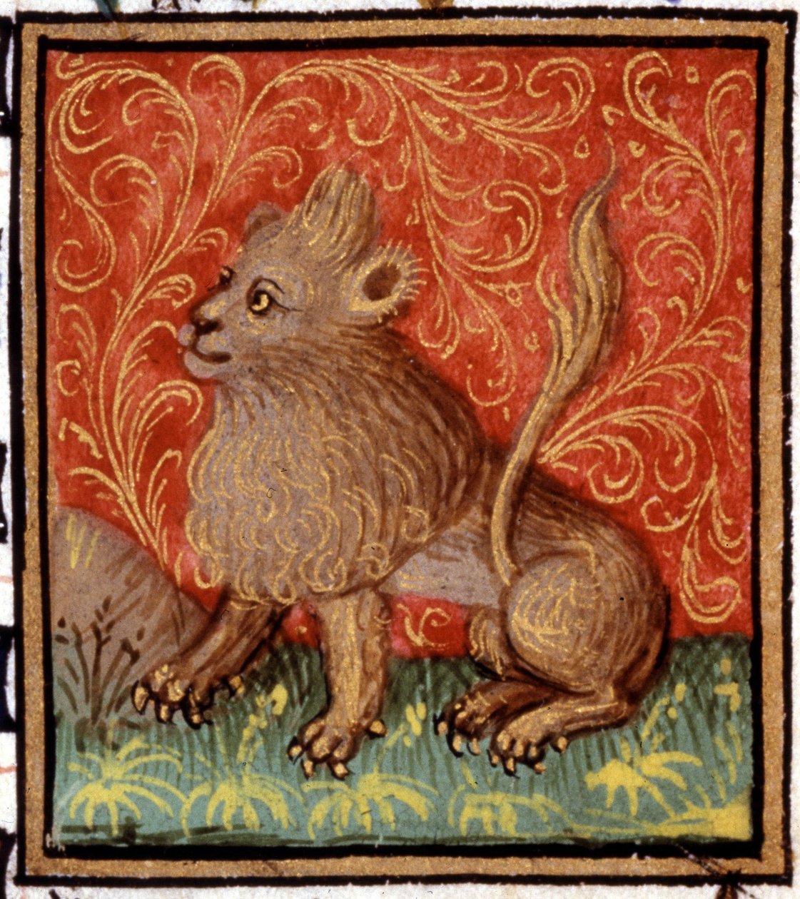 El León. Miniatura de un horóscopo. Manuscrito del siglo XV. Bibl. Trivulziana, Milán. de Unknown artist