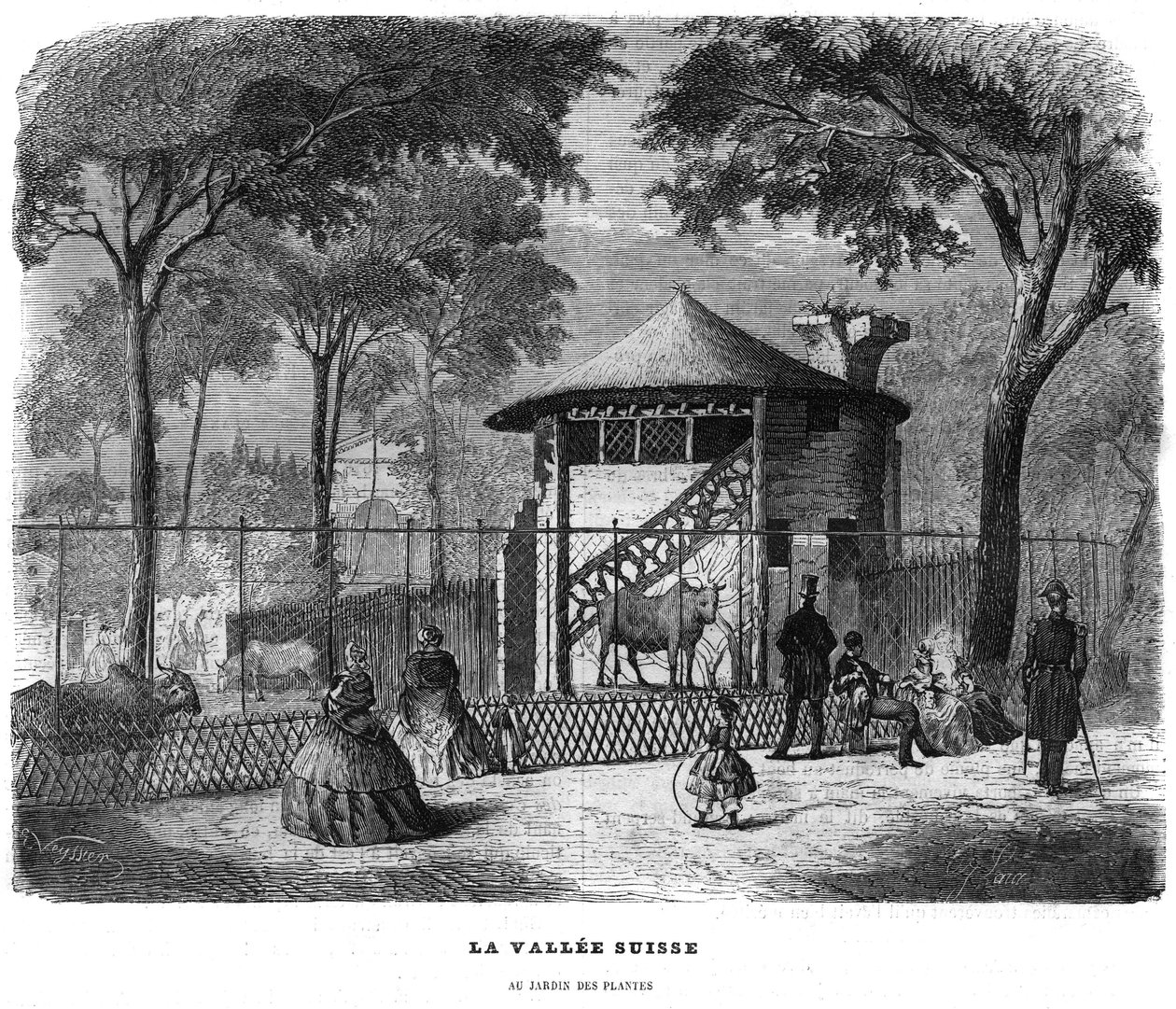 El valle suizo en el jardín de plantas en París en 1858. de Unknown artist