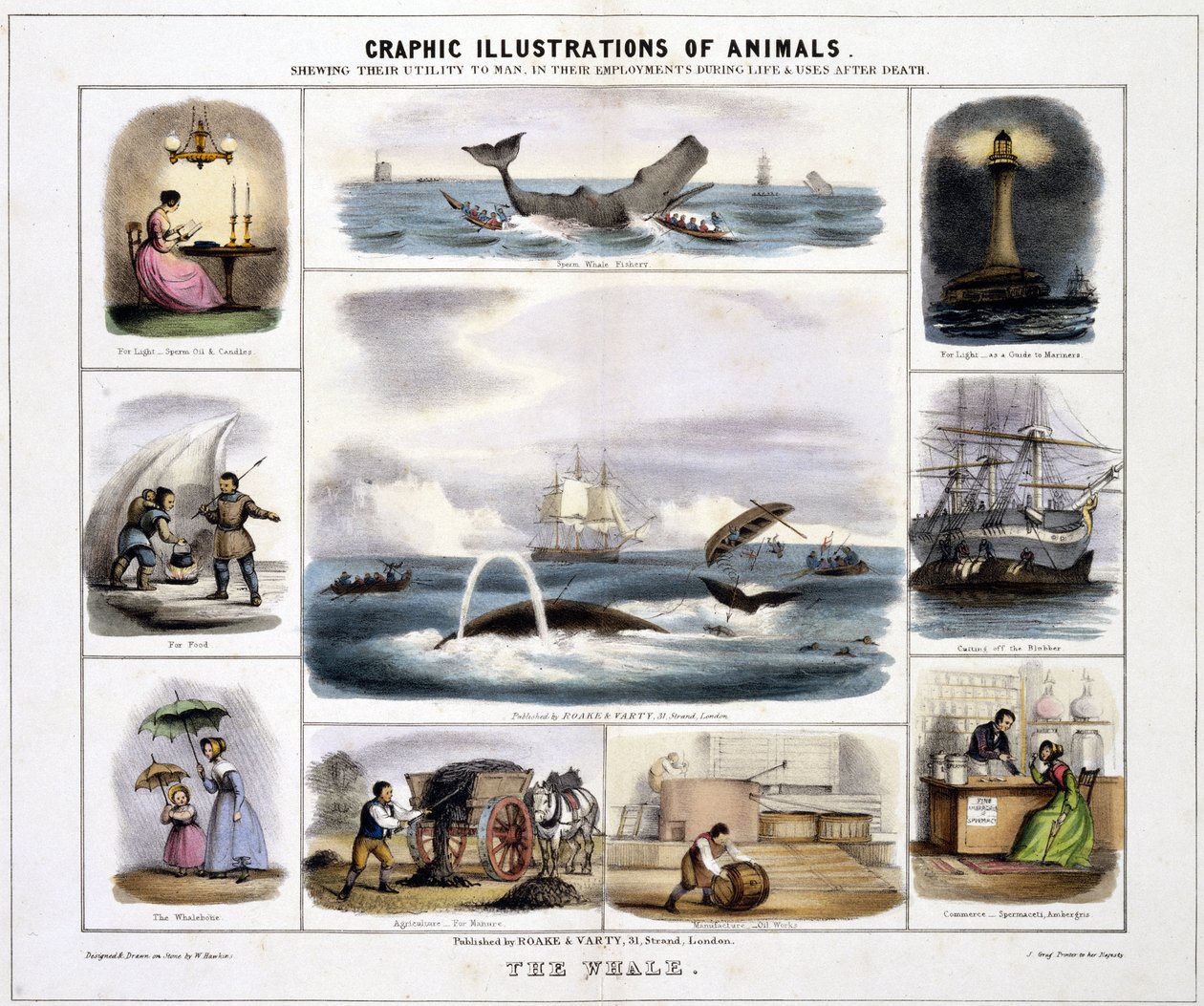 La ballena", hacia 1845 de Unknown artist