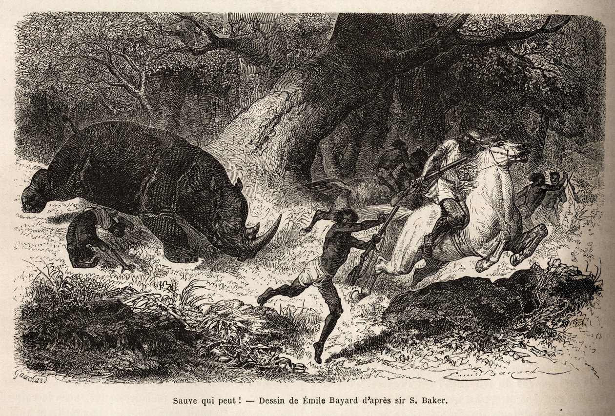 La carga del rinoceronte que vuelca y atrapa a los cazadores, durante la búsqueda del autor y sus guías. Grabado para ilustrar la exploración de los tributarios abisinios del Nilo, por Sir Samuel W. Baker, en 1861-62, publicado en 