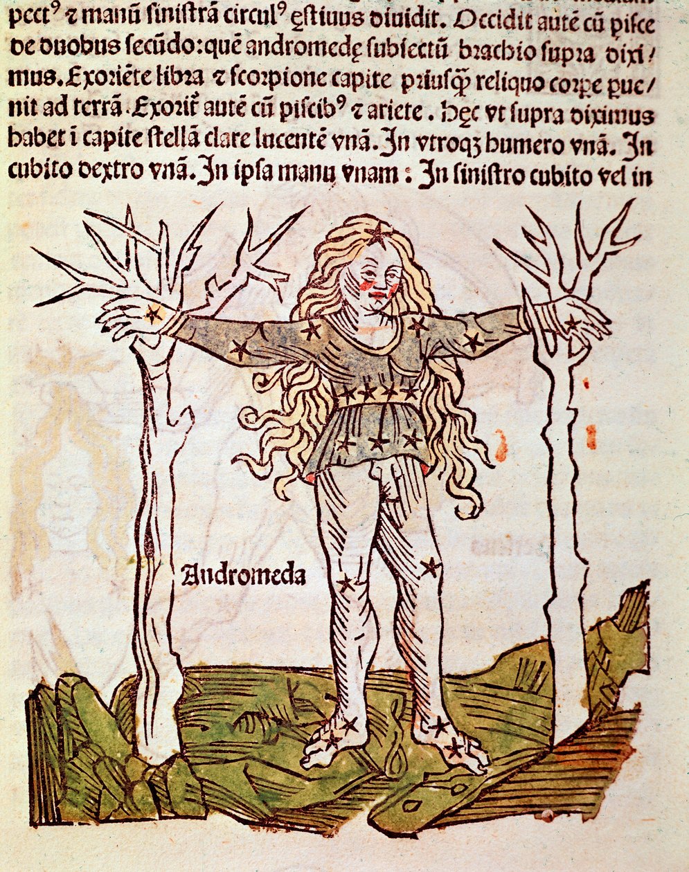 La constelación de Andrómeda (detalle) de Unknown artist