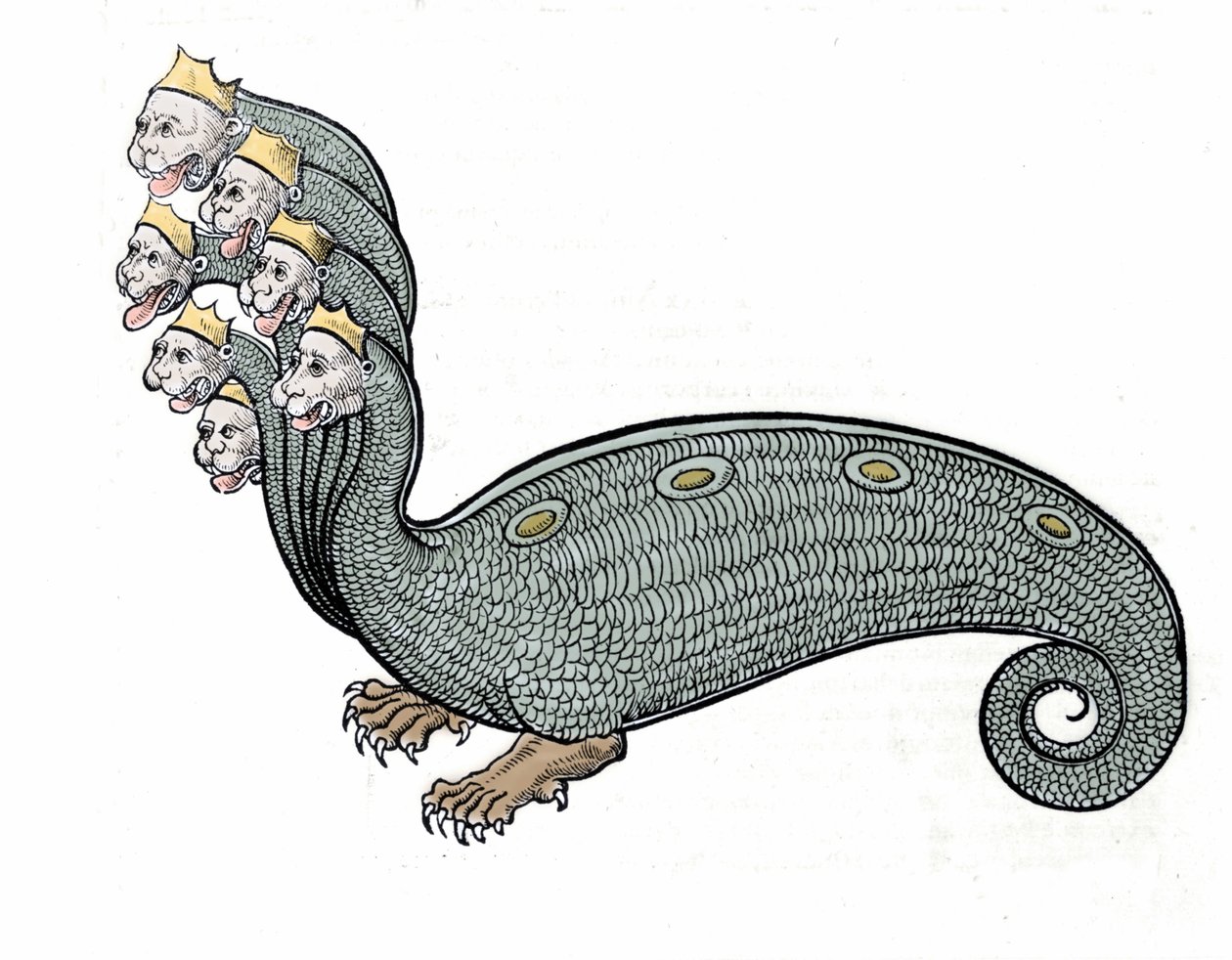 La hidra de las siete cabezas es una serpiente de agua con cuerpo de perro de Unknown artist
