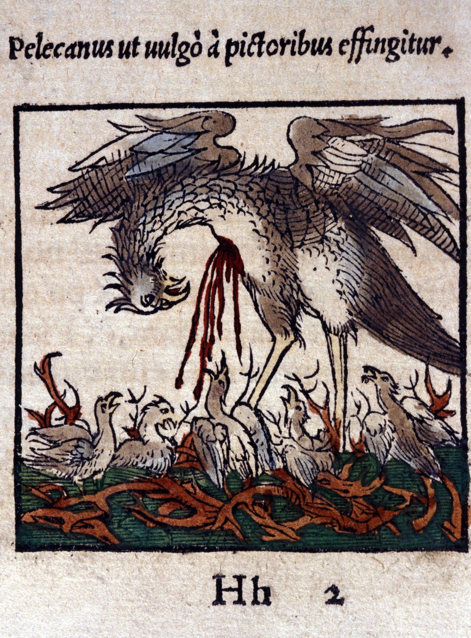 La leyenda del pelícano: da su sangre y entrañas para alimentar a sus crías. De Historiae animalium de Konrad Gesner, Tiguri de Unknown artist