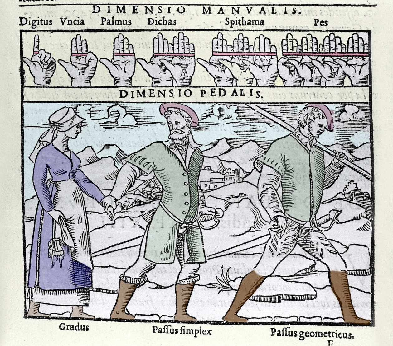 La unidad de longitud utilizada en el siglo XVI. Arriba: digitus (dedo o pulgar), palmus (palma o empan = 4 dedos), pes (pie = 4 palmas). Abajo: Gradus (no simple), Passus (no doble) simplex y Passus geometricus. Grabado de la “Cosmographia” de Petrus de Unknown artist