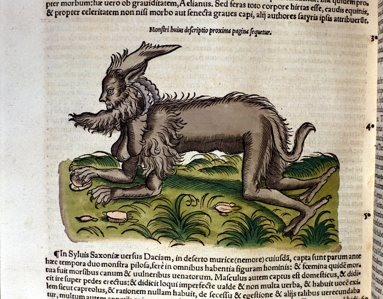 La mantícora según la Historia Animalium de Conrad Gesner, Tiguri 1560. Biblioteca nacional Braidense. Milán de Unknown artist