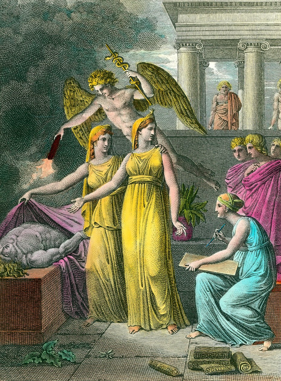 La medicina guiada por el estudio tiene nuevas observaciones anatómicas bajo los ojos de la pintura de Unknown artist