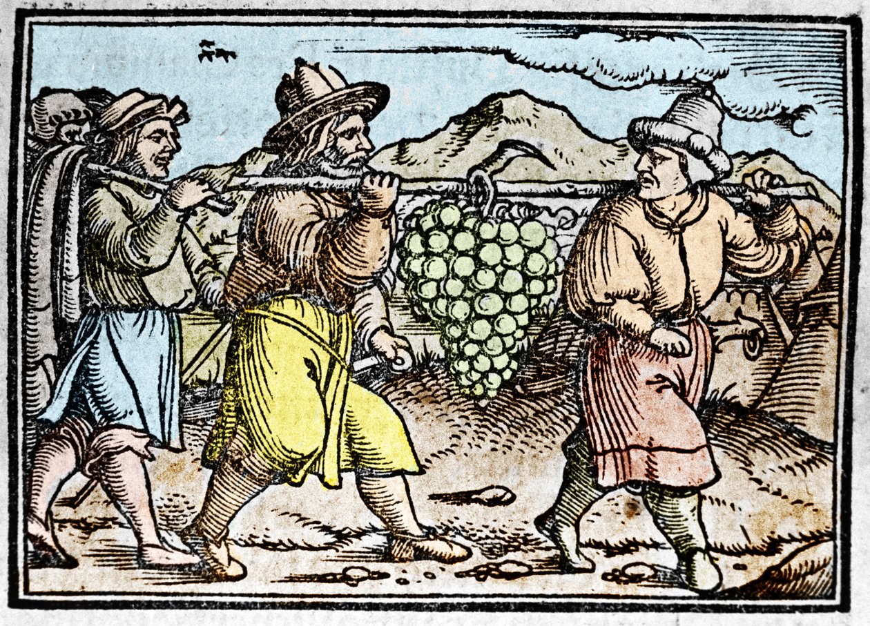 El regreso de Josué y Caleb con un gran racimo de uvas de la tierra de Canaán (Tierra Prometida). Crónica de Johann Stumpff de Unknown artist