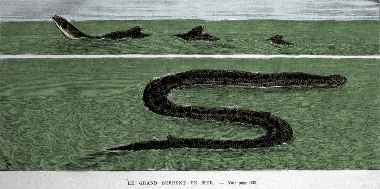 La serpiente marina observada en 1872 en el Atlántico Meridional. de Unknown artist