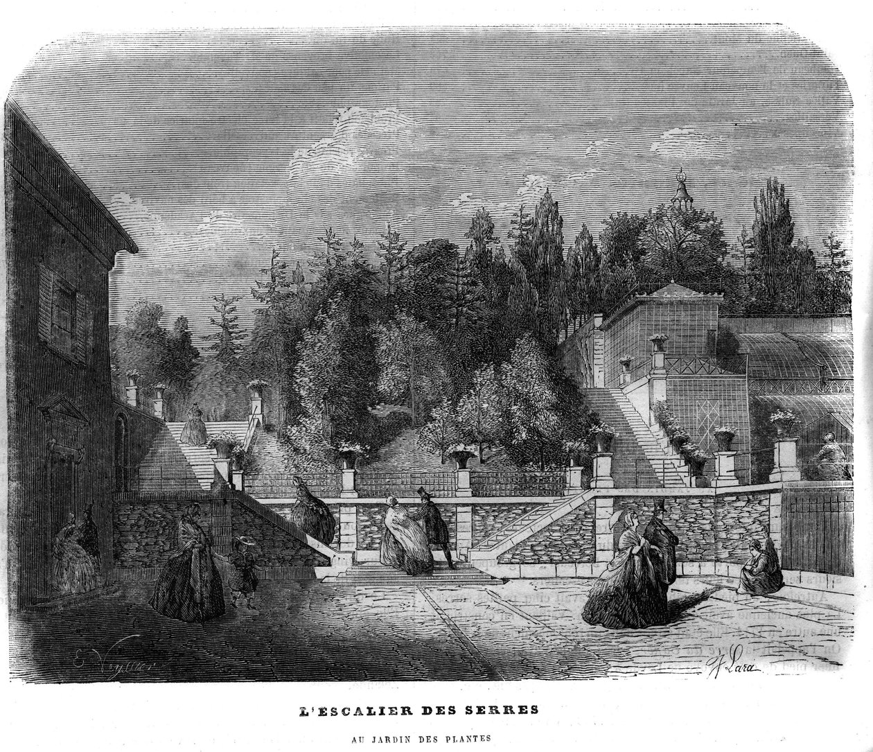 La escalera de los invernaderos en el jardín de plantas en París en 1858. de Unknown artist