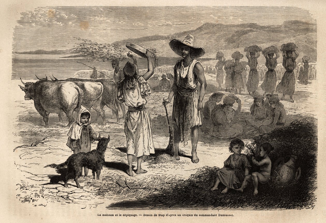 El trabajo de la cosecha, recolección y trilla del trigo, en Djurjura (Argelia); mujeres sentadas en círculos golpean las espigas con mazos redondos, otras lanzan la paja y los granos al viento con un gran tamiz, luego barrer el suelo permite recoger el gr de Unknown artist