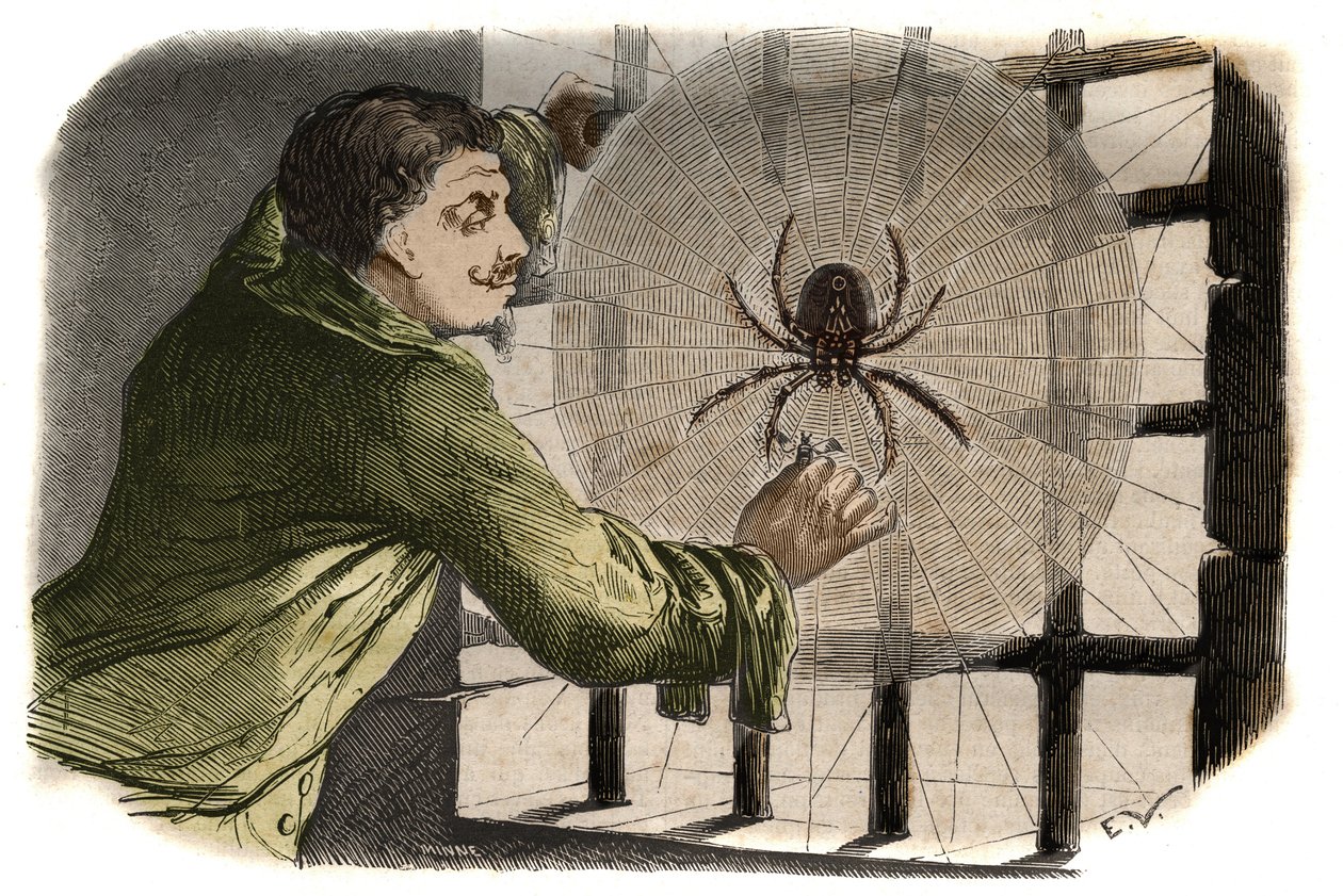 El escritor Paul Pellisson (Paul Pellisson-Fontanier) (1624-1693) doma una araña durante su encarcelamiento en la Bastilla. Grabado de 1858 en 