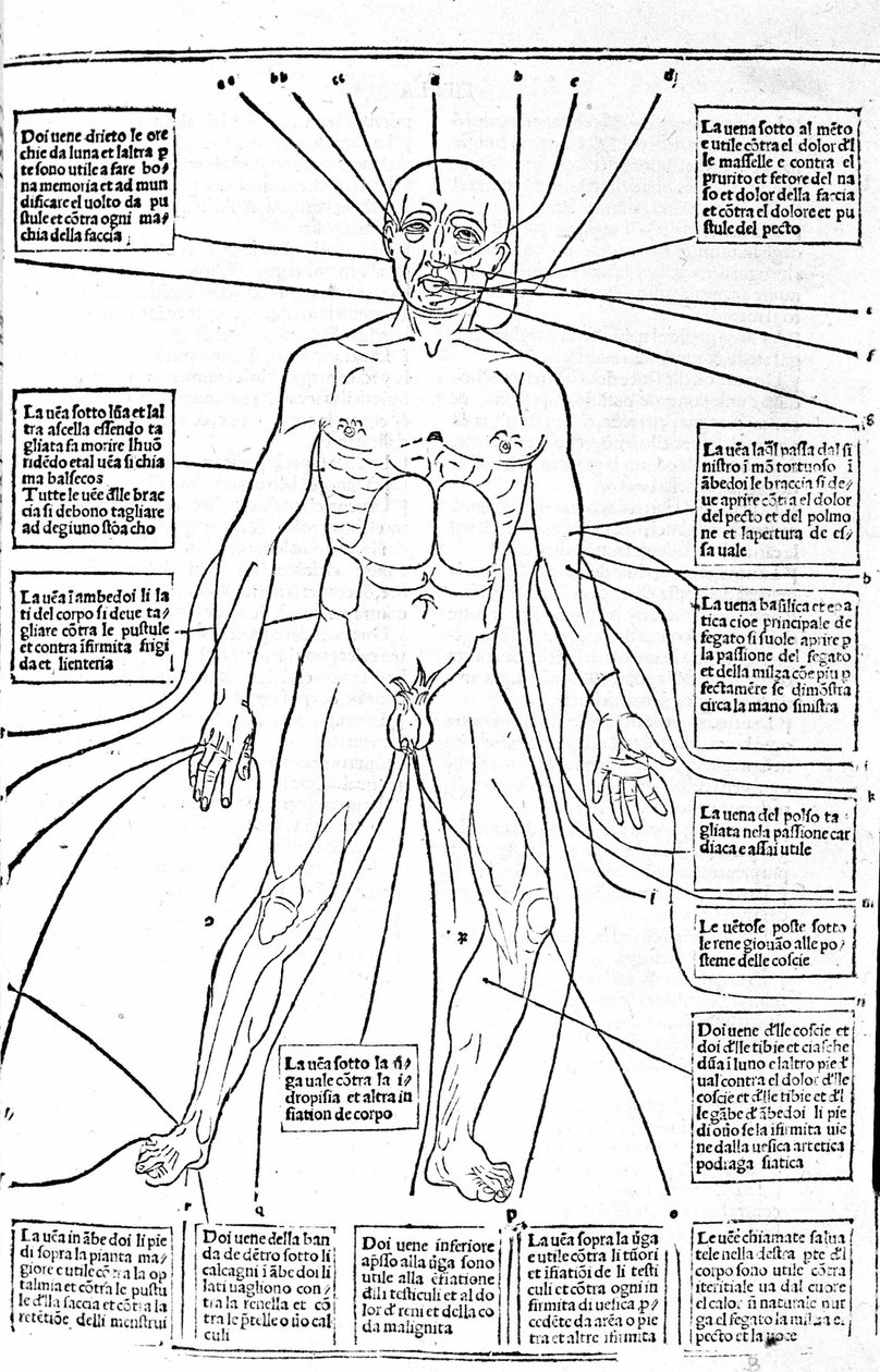 Esta imagen muestra los lugares del cuerpo o la práctica de sangrado según el dolor. Tratado de Medicina de Gerolamo Cardano (Cardanus Hieronymus), Florencia de Unknown artist