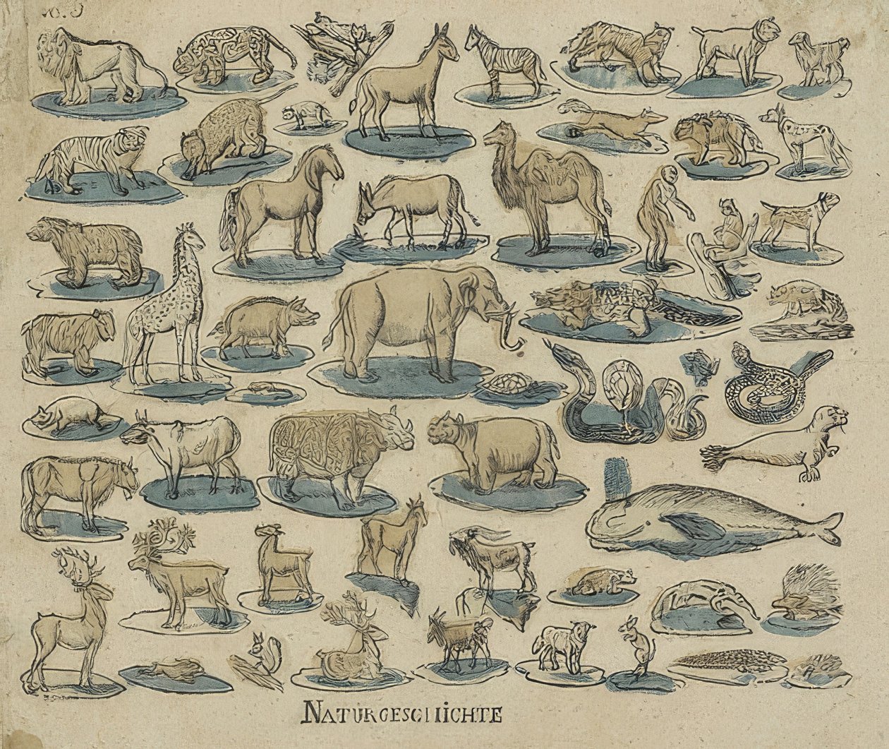 Animales de Unknown