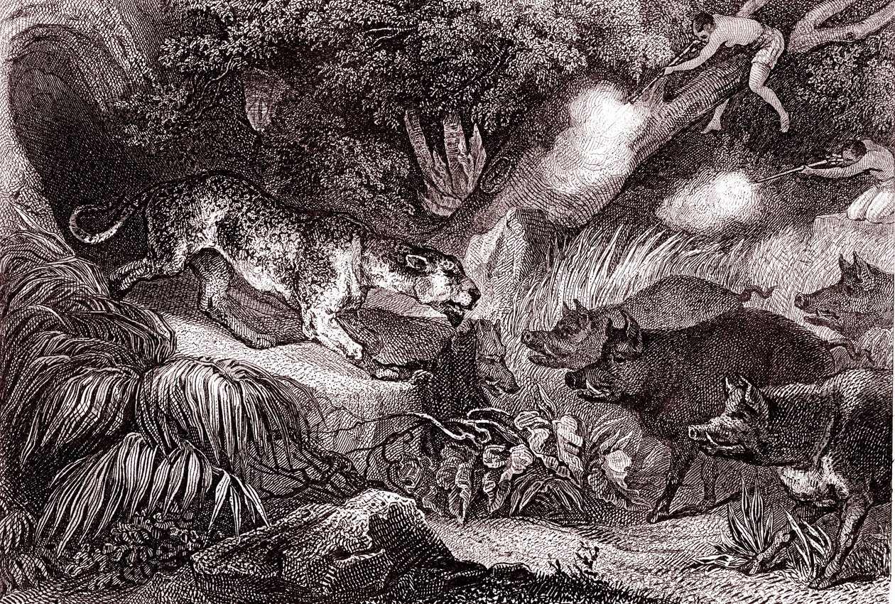 Caza del tigre en la selva amazónica(grabado de Unknown Artist