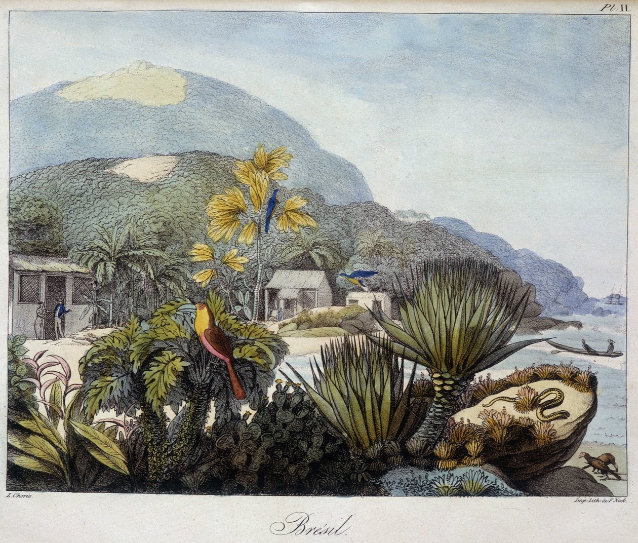 Vista de Brasil en “Vistas y Paisajes de las Regiones Ecuatoriales, Recogidos en un viaje alrededor del Mundo”, s.d. siglo XIX de Unknown artist