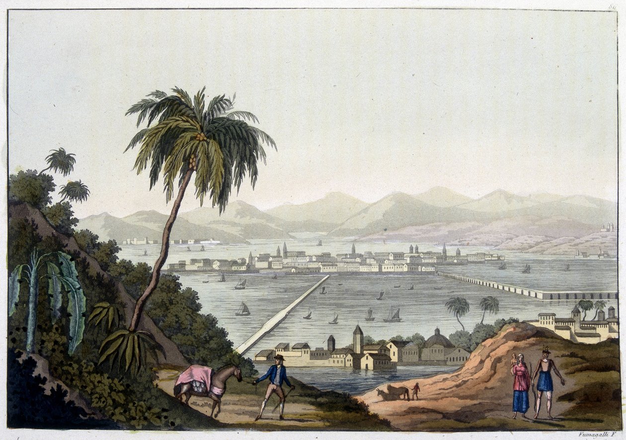 Vista de la Ciudad de México, México. En "Le costume ancien et moderne" de Unknown artist