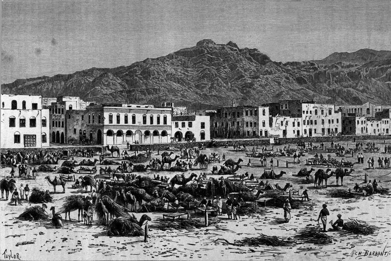 Vista de la marcha de Adén en Abisinia. Grabado alrededor de 1880 de Unknown artist