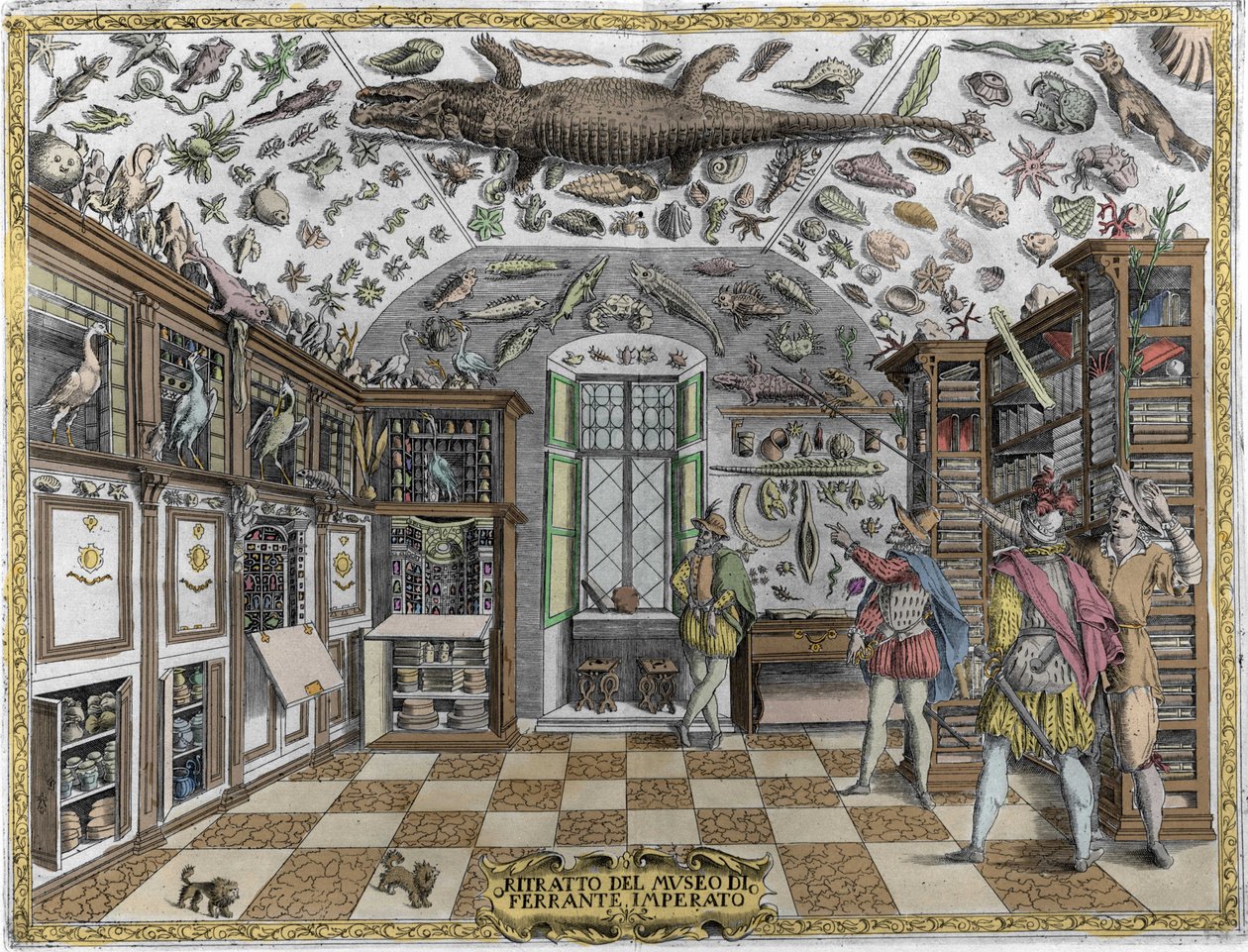 Vista del museo (gabinete) de curiosidades (museo enciclopédico) del farmacéutico Ferrante Imperato (1550 - 1631). Grabado de 1678. Museo del boticario napolitano Ferrante Imperato. de Unknown artist