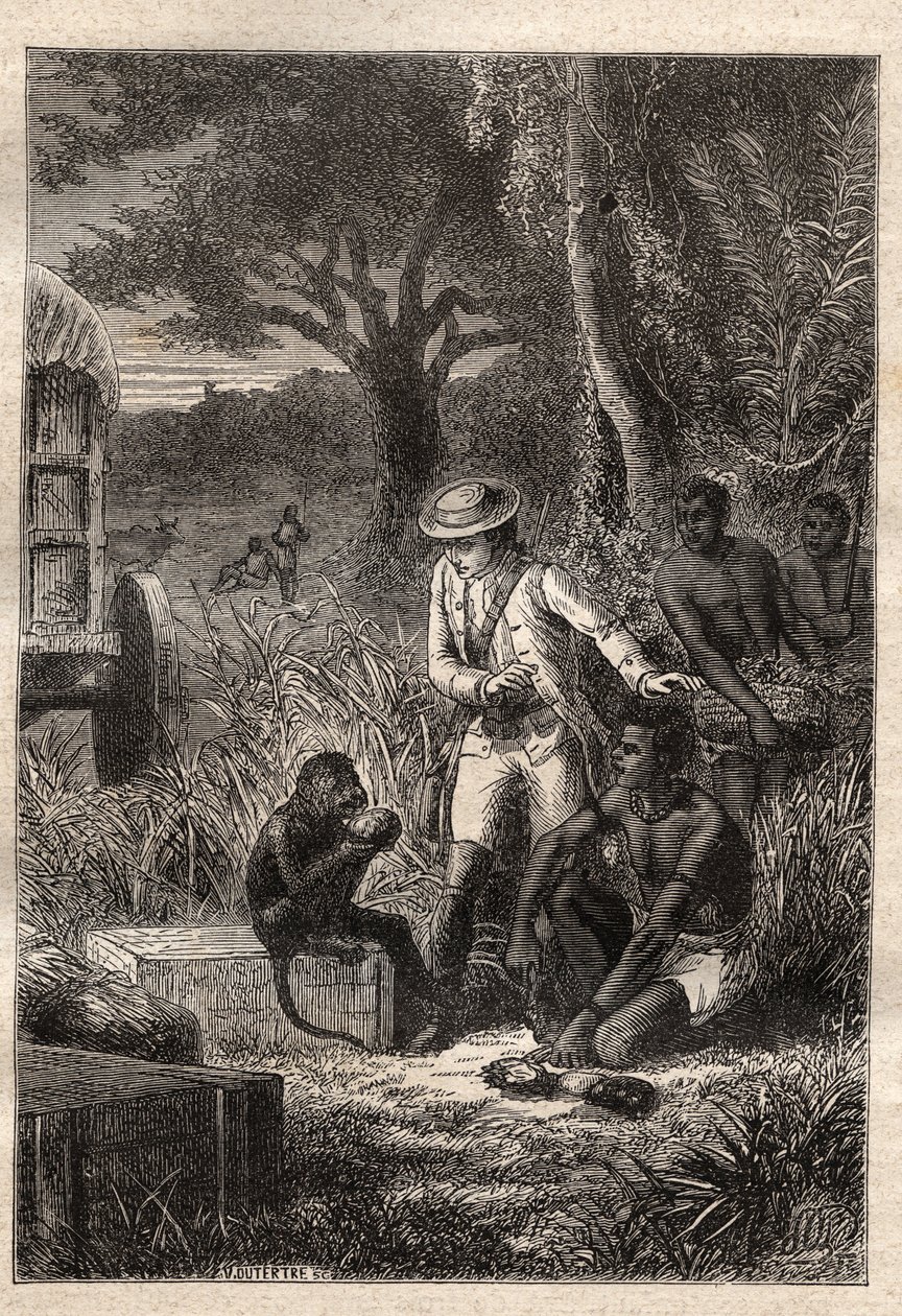 Viaje a la Cafrería (Sudáfrica) (1781) de François Levaillant (Le Vaillant) (1753-1824): Levaillant y su mono degustador Maître Kees, que prueba las frutas y raíces para verificar que son comestibles - ilustración tomada de “Los grandes marineros del siglo de Unknown artist