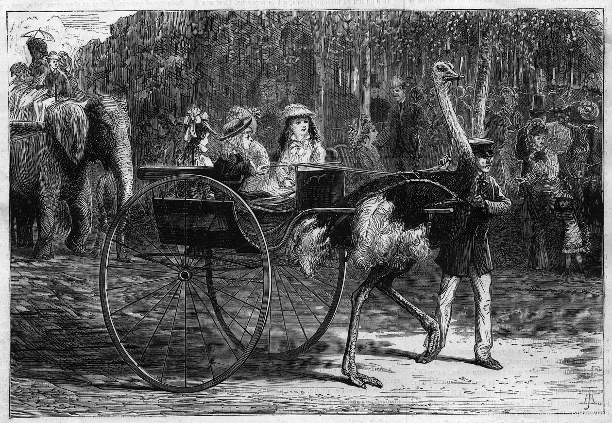 Paseo a lomos de un elefante y niños en una carriola arrastrada por Austrias. Jardín de Aclimatación del Bois de Boulogne en París de Unknown artist