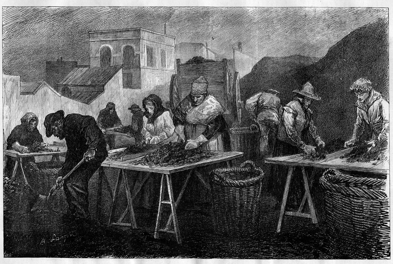 Trabajadores en Francia: Clasificadores de coque (variedad de carbón resultante de la destilación del carbón, utilizado en calefacción) en una fábrica de gas en París. Grabado en “Le Monde Illustré” de Unknown artist