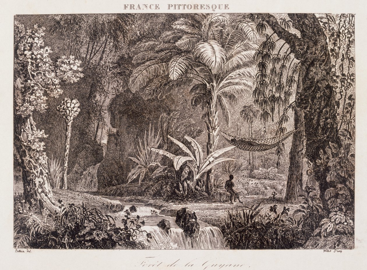 grabado que representa la colonia francesa de Guyana en América del Sur 1850 de Unknown artist